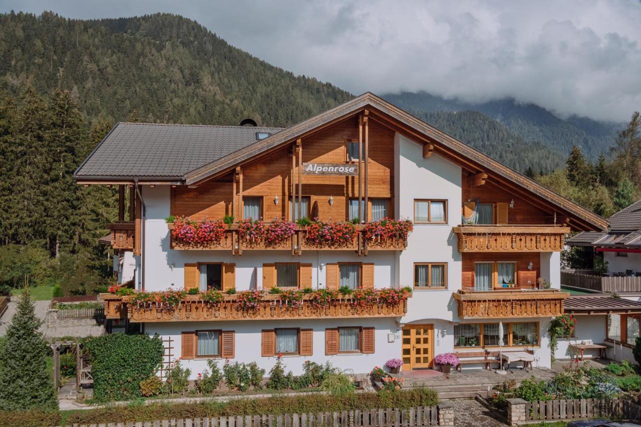 Residence Alpenrose Rasùn di Sotto المظهر الخارجي الصورة